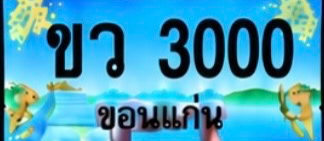 ป้ายทะเบียน ขว 3000 ขอนแก่น