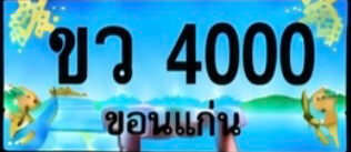ป้ายทะเบียน ขว 4000 ขอนแก่น