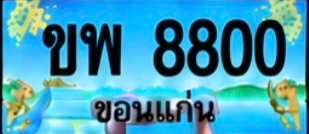 ป้ายทะเบียน ขพ 8800 ขอนแก่น