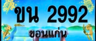 ป้ายทะเบียน ขน 2992 ขอนแก่น