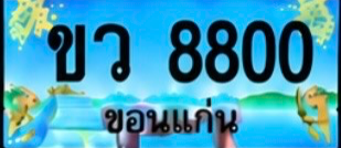 ป้ายทะเบียน ขว 8800 ขอนแก่น