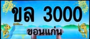 ป้ายทะเบียน ขล 3000 ขอนแก่น